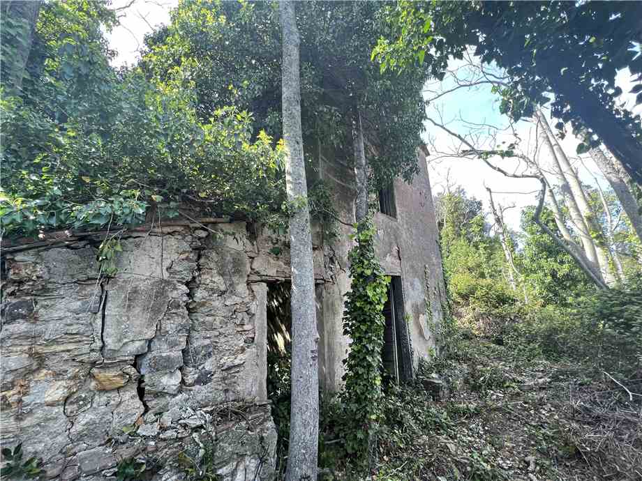 Rural/farmhouse Rio 4879