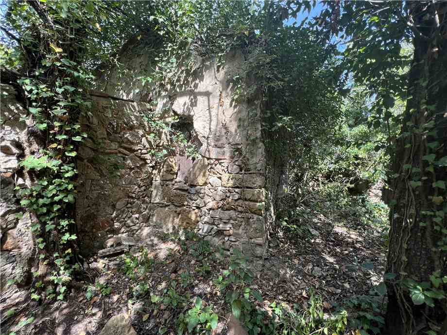 For sale Rural/farmhouse Rio Cavo #4879 n.2