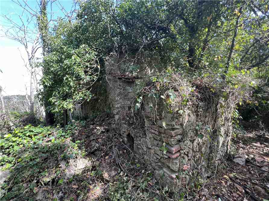 For sale Rural/farmhouse Rio Cavo #4879 n.4