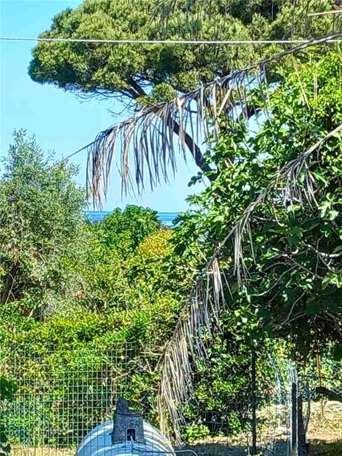 For sale Semi-detached house Marciana Procchio/Campo all'Aia #4964 n.13