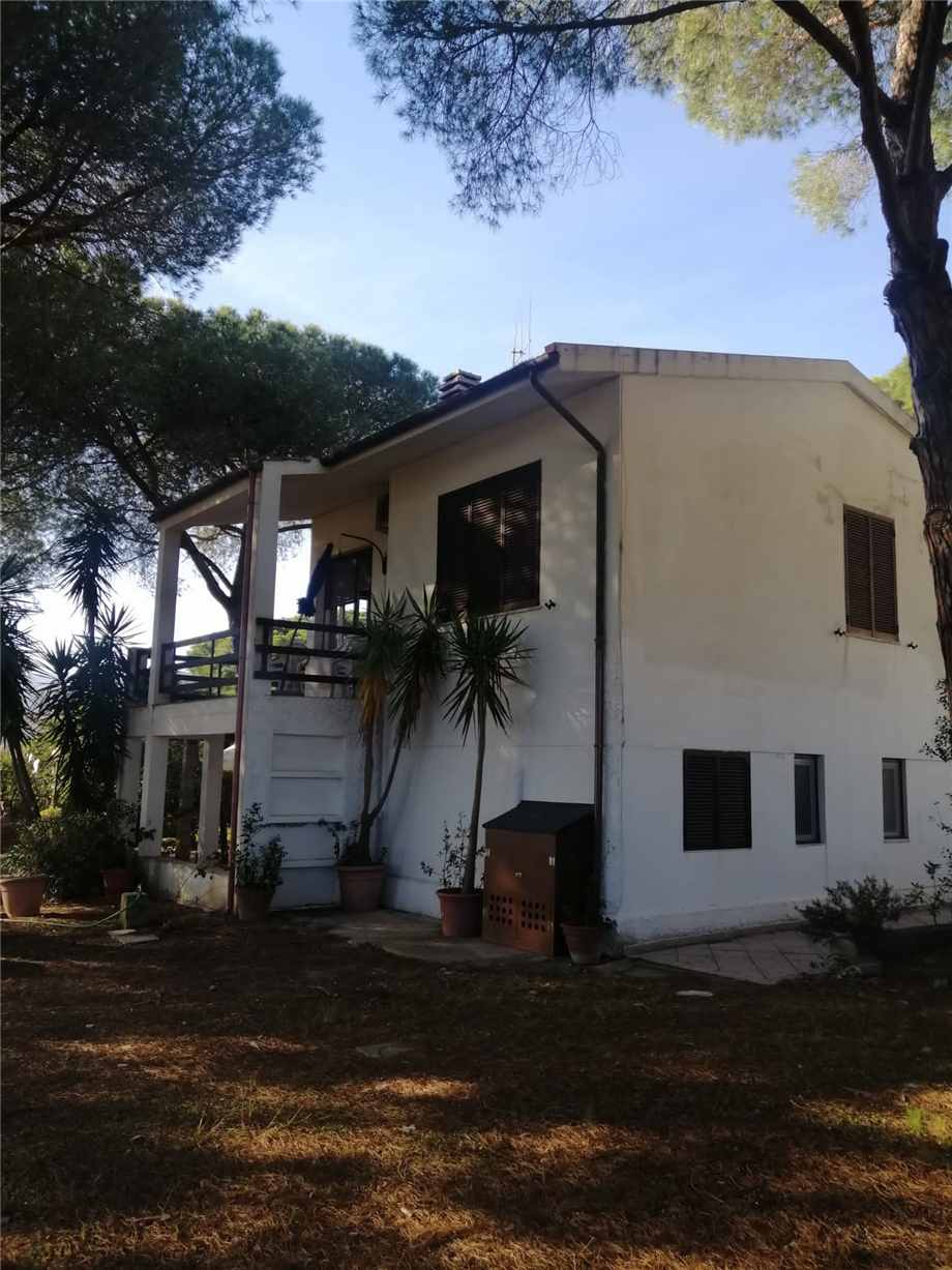 Vendita Casa indipendente Capoliveri Lacona/Colle Reciso #5065 n.7
