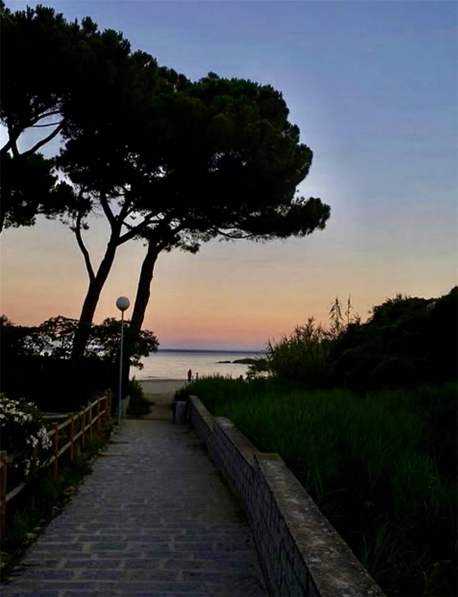 Vendita Albergo Campo nell'Elba  #5091 n.15