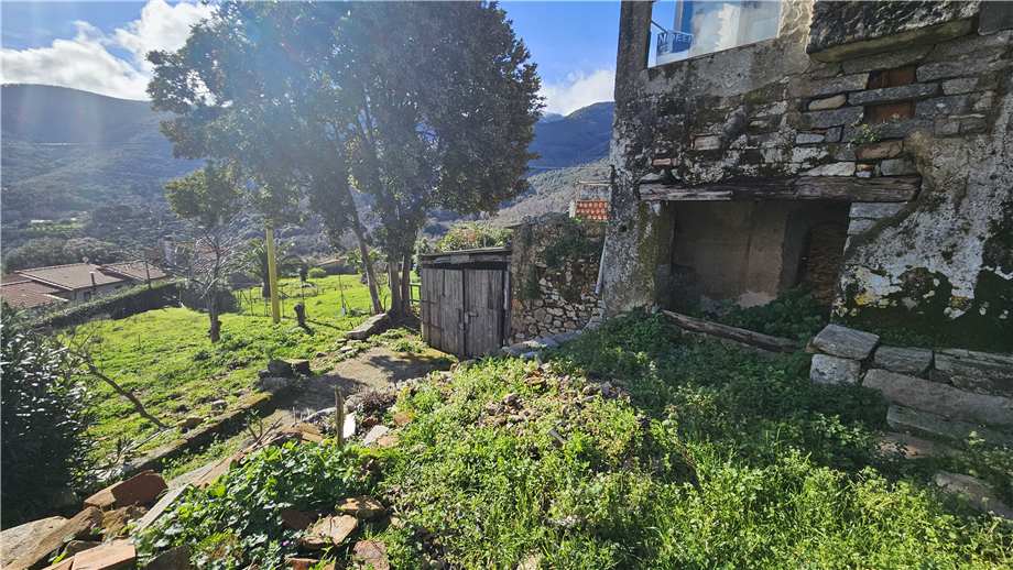 Vendita Rustico/Casa di campagna Marciana Marciana altre zone #5092 n.3