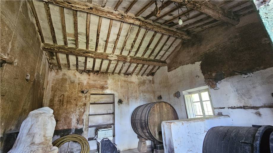 Vendita Rustico/Casa di campagna Marciana Marciana altre zone #5092 n.4
