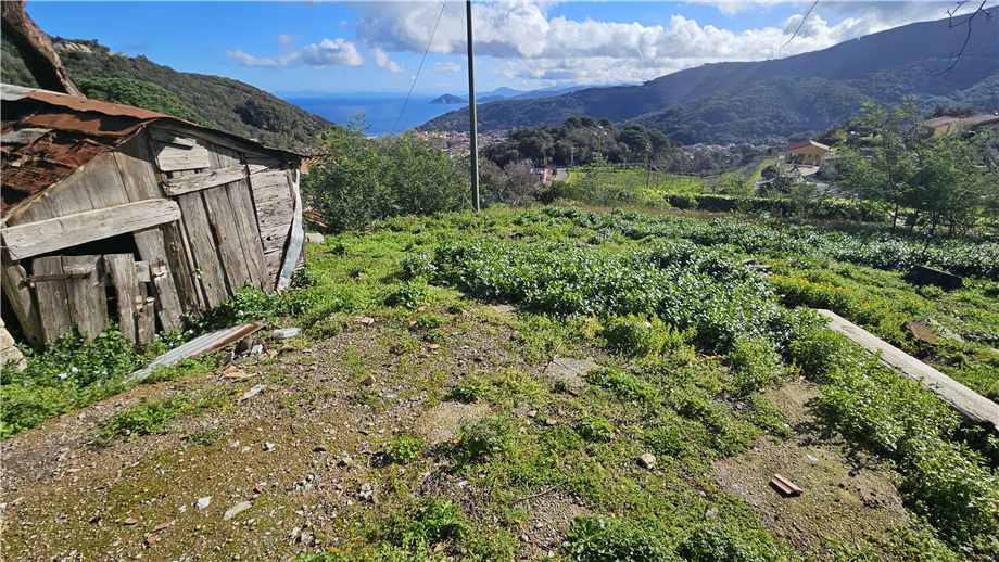 Vendita Rustico/Casa di campagna Marciana Marciana altre zone #5092 n.5