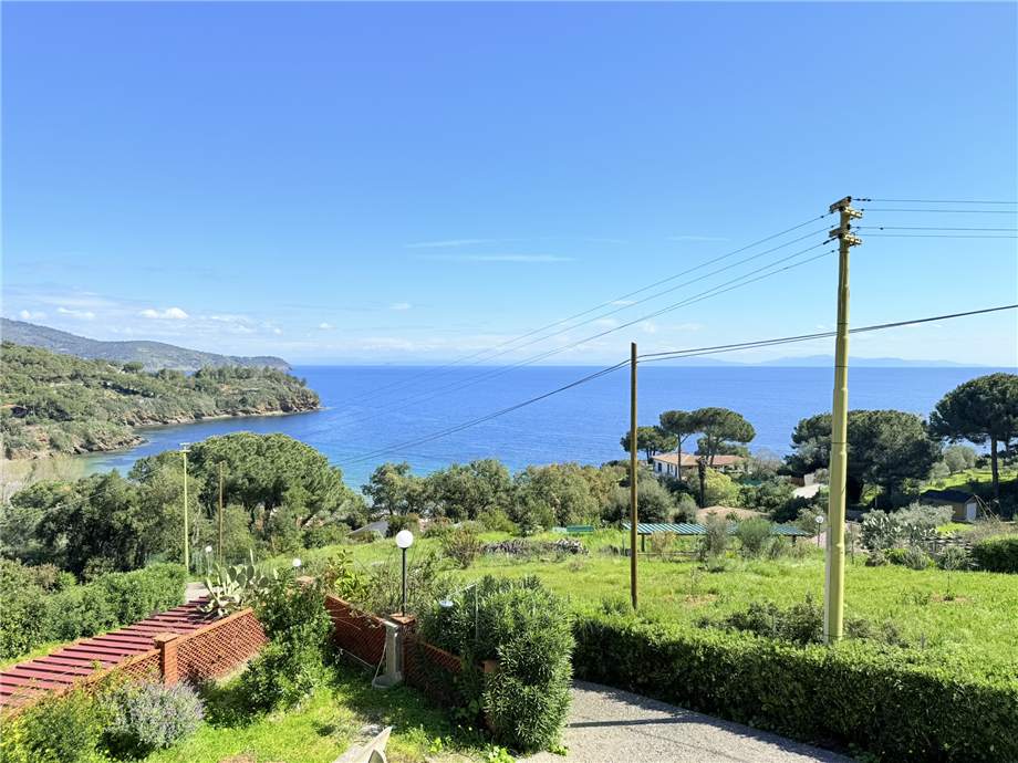 Apartment Capoliveri 5104