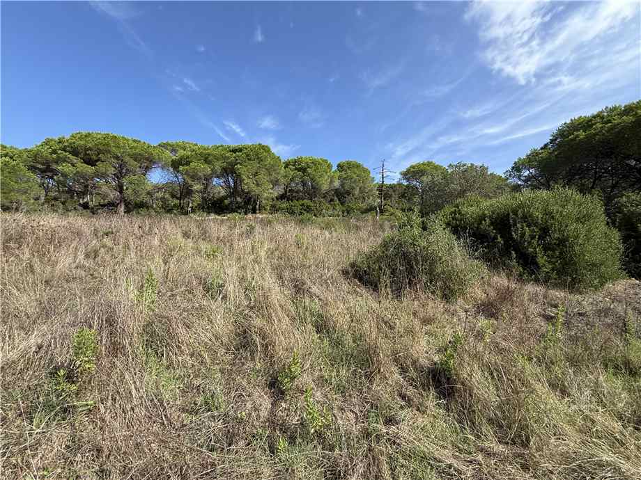 For sale Single-family Villa Portoferraio  #5151 n.5