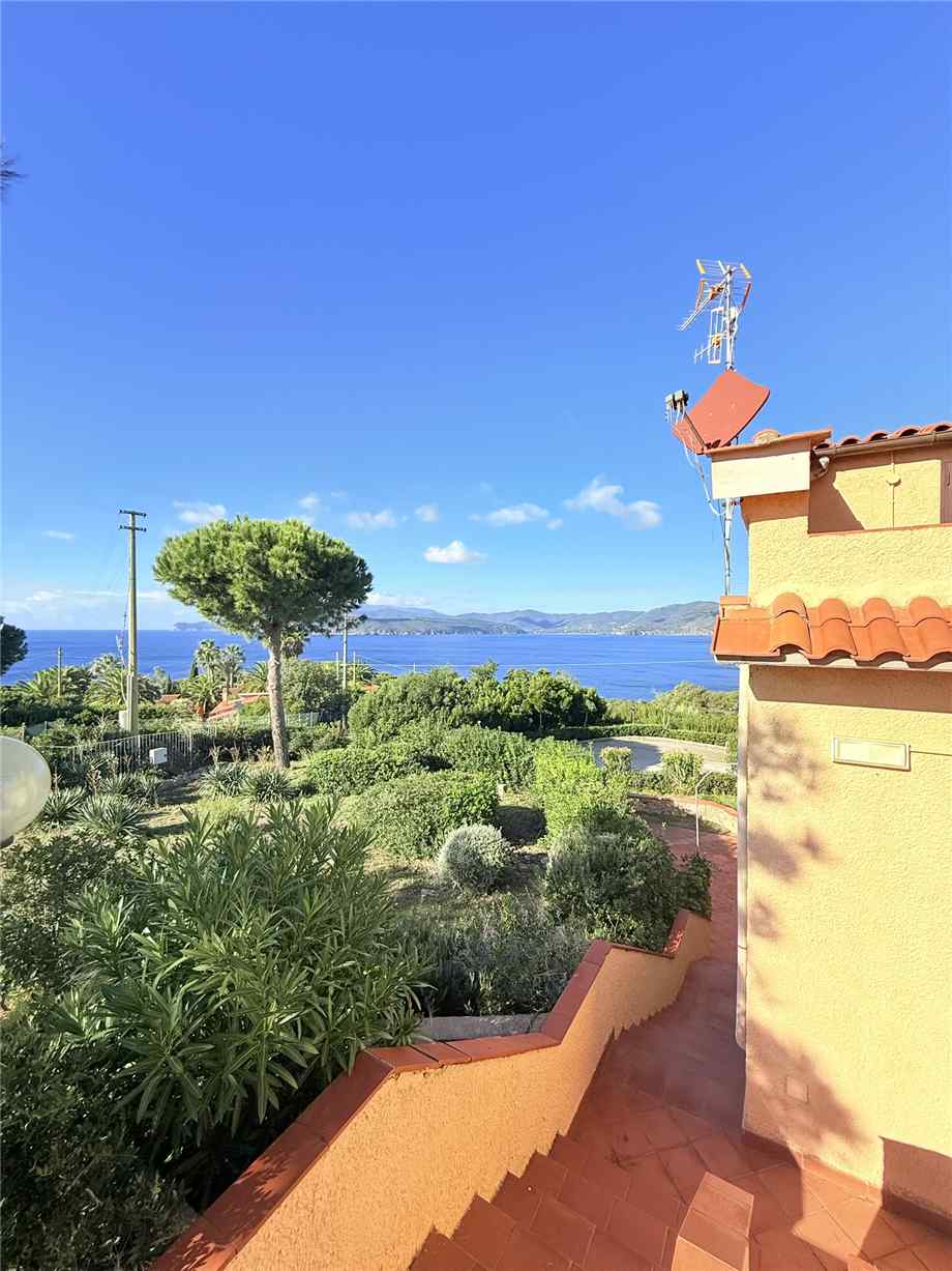 For sale Other Capoliveri  #5161 n.5