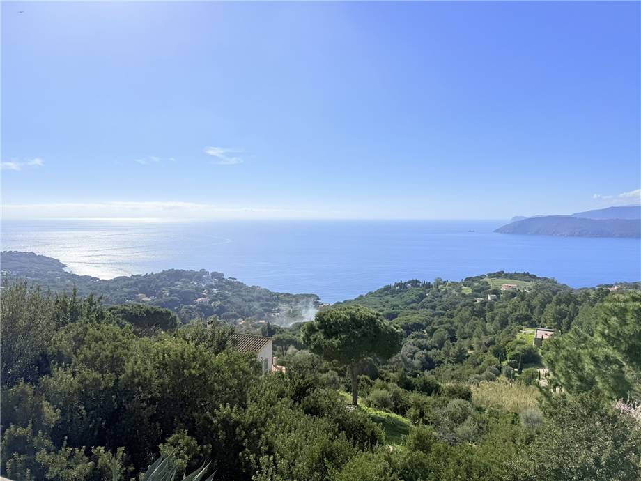 Venta Terratetto/Terracielo Capoliveri  #5183 n.3