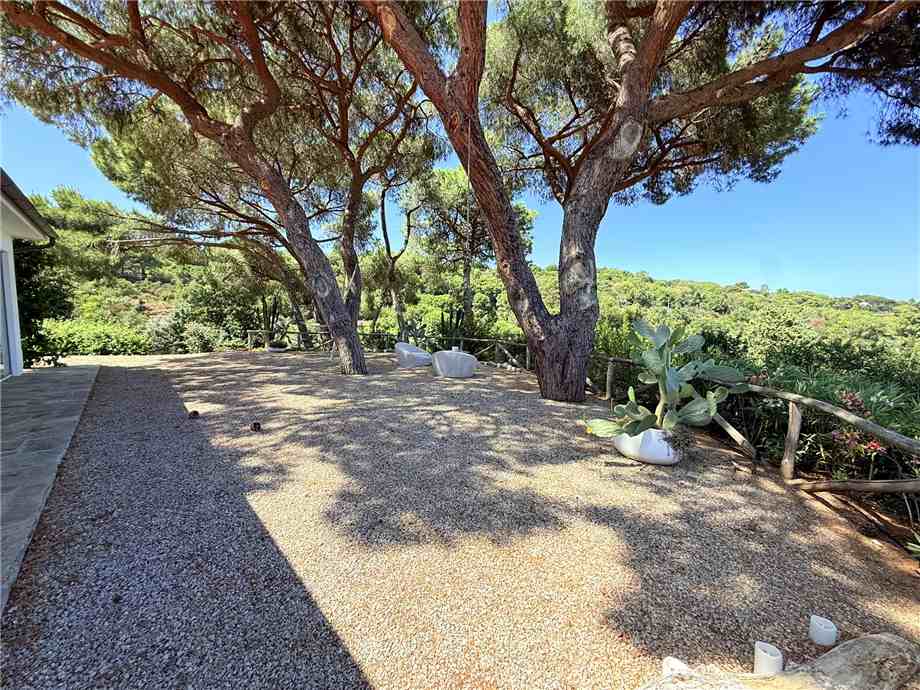 For sale Single-family Villa Capoliveri  #5204 n.4