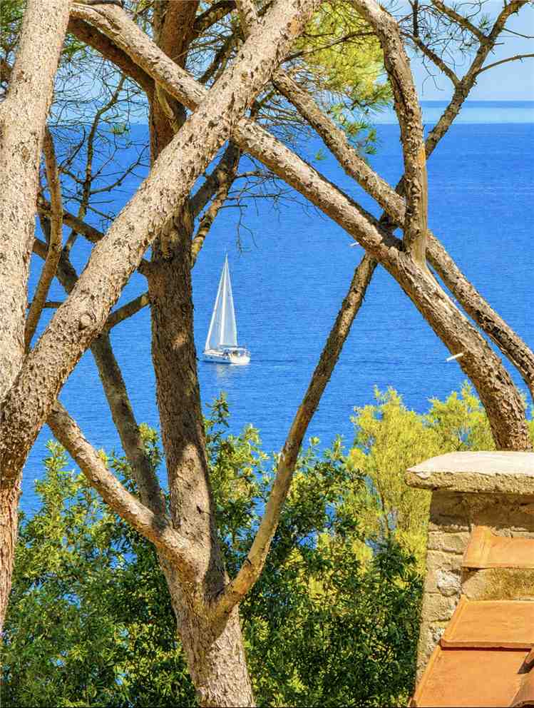 Venta Villa unifamiliar Marciana Marina  #5235 n.3