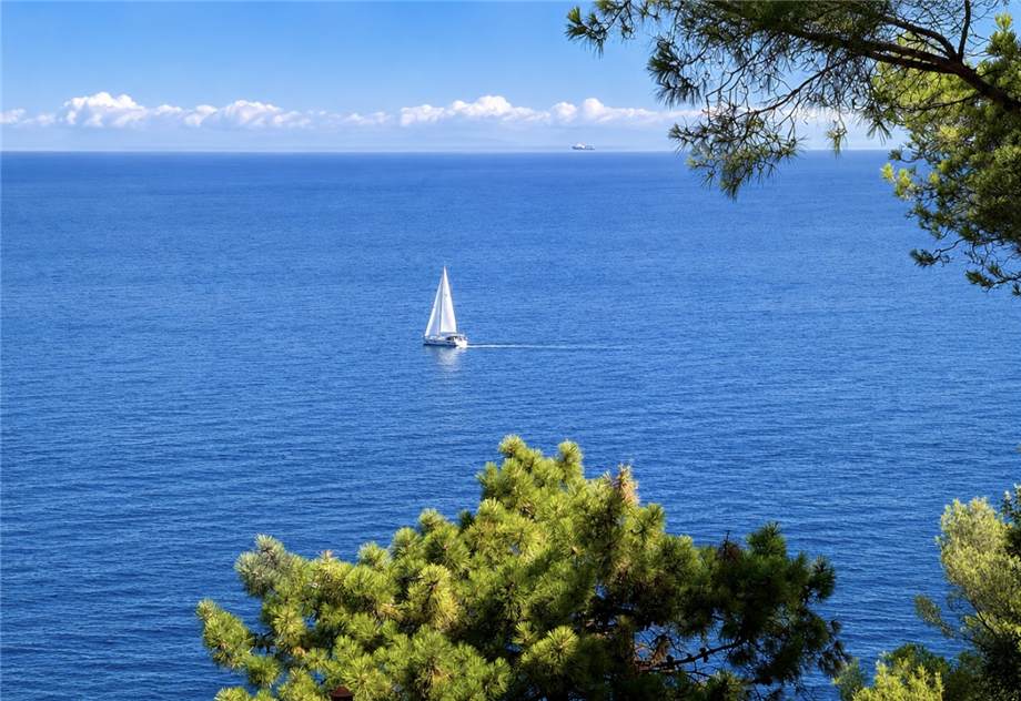Venta Villa unifamiliar Marciana Marina  #5235 n.4