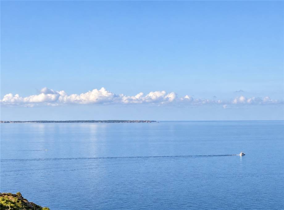 Vendita Appartamento Campo nell'Elba  #5238 n.2