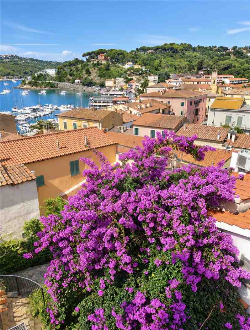 Appartamento Porto Azzurro 5243