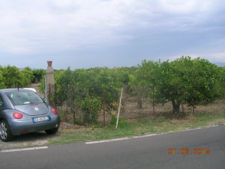 For sale Land Centuripe  #27 n.3