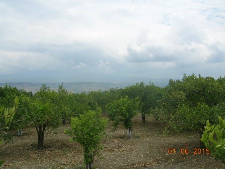For sale Land Centuripe  #27 n.4