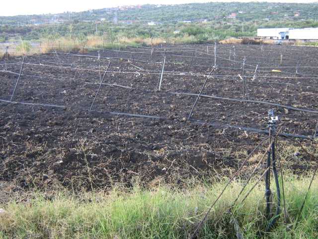 Terreno Adrano #214