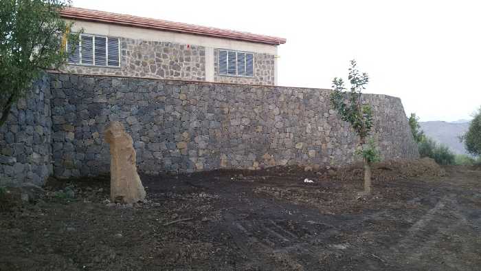 Azienda Agricola Adrano #1826