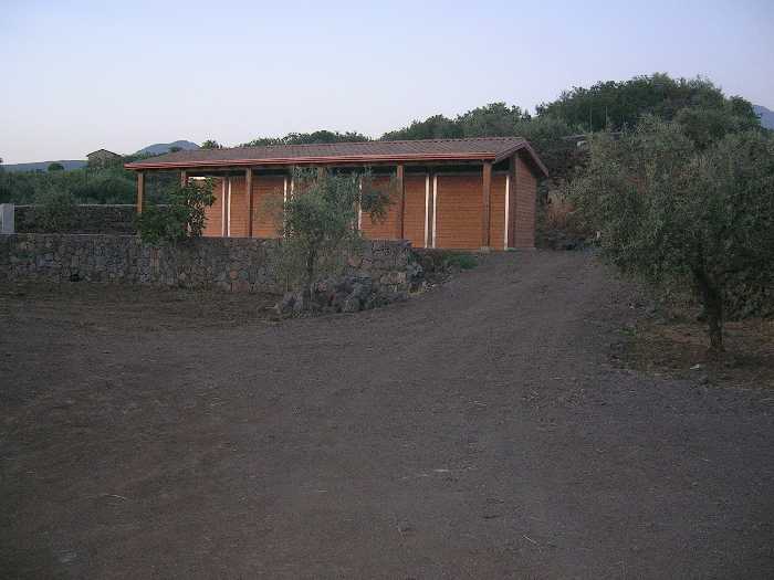 Vendita Azienda Agricola Adrano  #1826 n.2