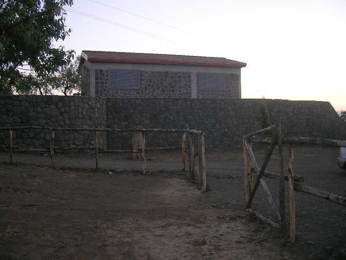 Vendita Azienda Agricola Adrano  #1826 n.3