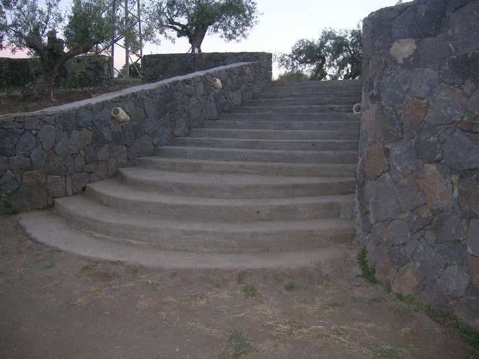 Vendita Azienda Agricola Adrano  #1826 n.4