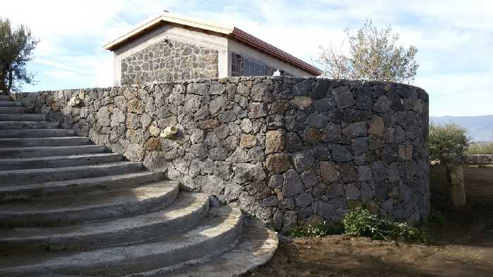 Vendita Azienda Agricola Adrano  #1826 n.5