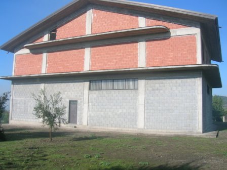 Capannone Biancavilla #1879