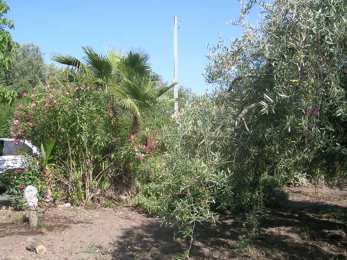 Venta Casa de campo Adrano  #201 n.3