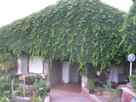 Villa/Casa singola Santa Maria di Licodia #1948