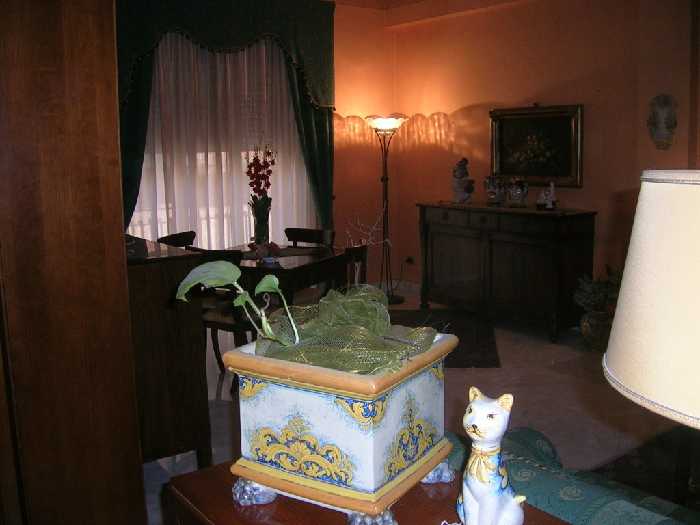 For sale Flat Biancavilla  #236 n.2