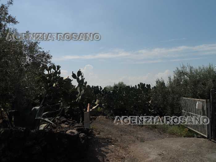For sale Land Biancavilla  #2100 n.3