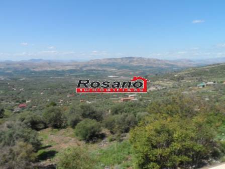 Vendita Appartamento Biancavilla  #2383 n.5