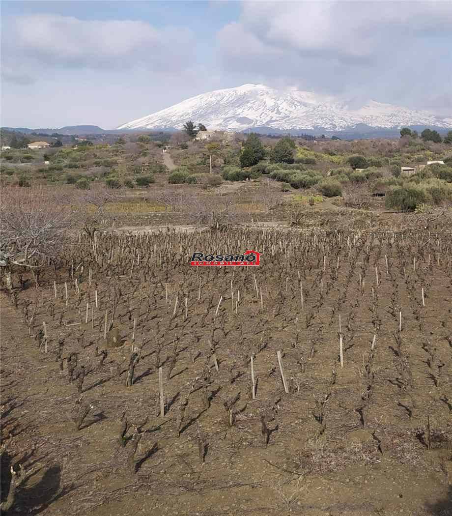 Terreno Biancavilla #2472