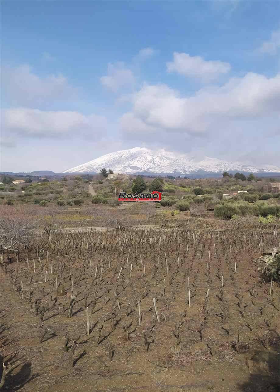 Vendita Terreno Biancavilla  #2472 n.2