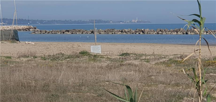 For sale Land Montenero di Bisaccia via Antonio Usodimare #16 n.2