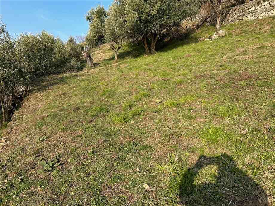 For sale Land Predore  #PRE23 n.11