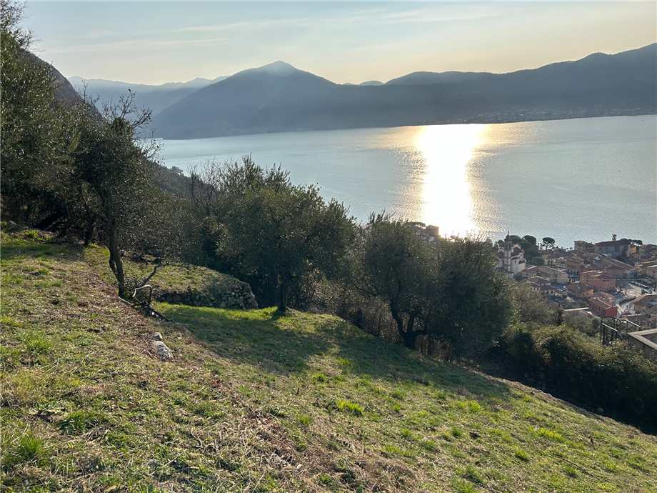 For sale Land Predore  #PRE23 n.12