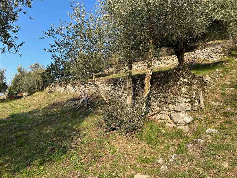 For sale Land Predore  #PRE23 n.13
