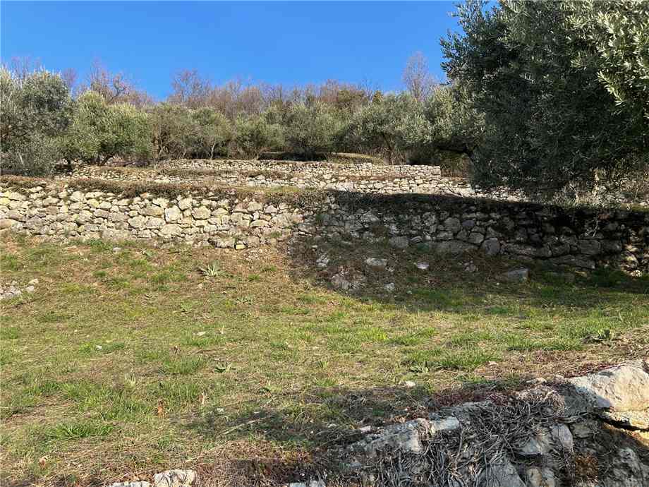 For sale Land Predore  #PRE23 n.15