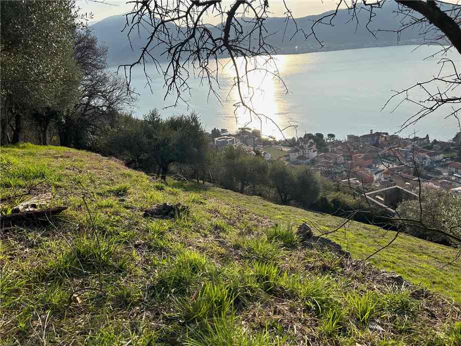 For sale Land Predore  #PRE23 n.3