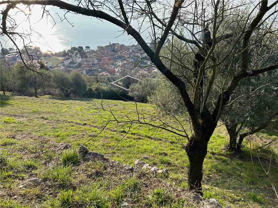 For sale Land Predore  #PRE23 n.4