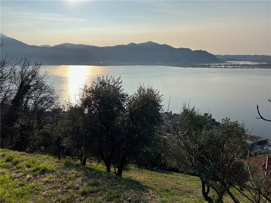For sale Land Predore  #PRE23 n.5