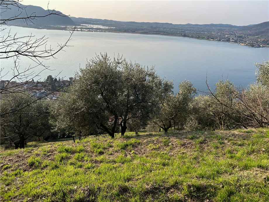 For sale Land Predore  #PRE23 n.7