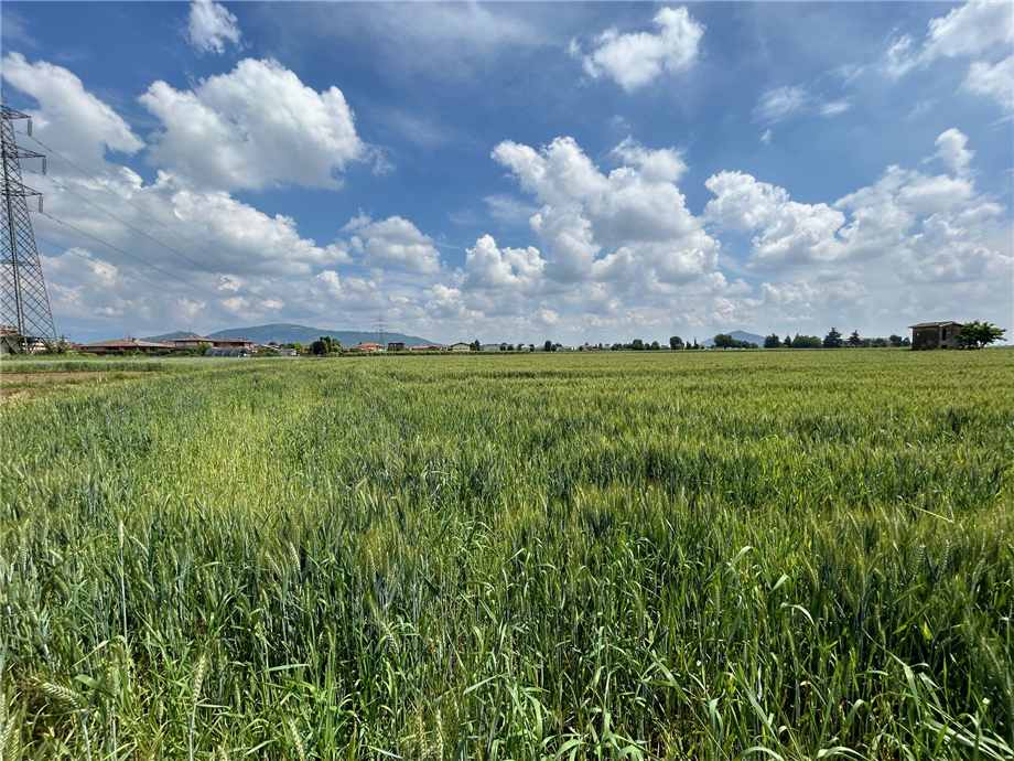 Vendita Terreno Castelli Calepio TAGLIUNO #CC335 n.4