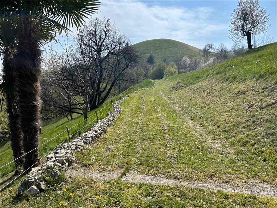 Vendita Rustico/Casale Adrara San Martino  #ASM33 n.3