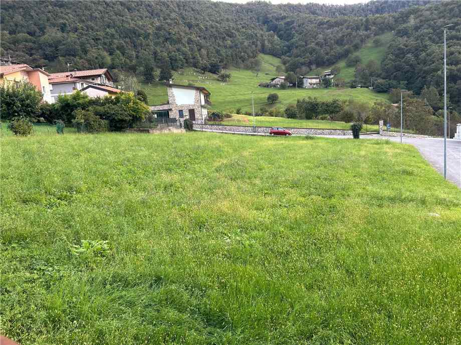Vendita Terreno Viadanica  #VIA14 n.4