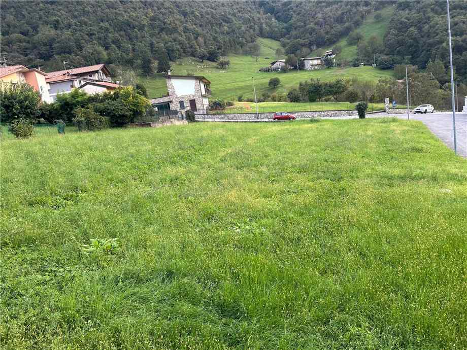 Vendita Terreno Viadanica  #VIA15 n.4