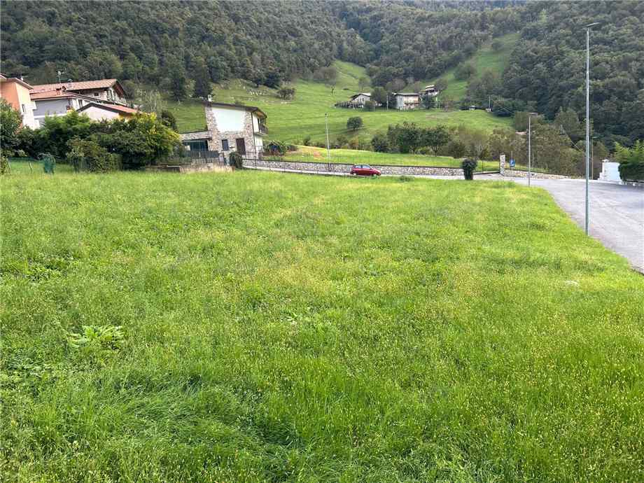 Vendita Terreno Viadanica  #VIA15 n.5