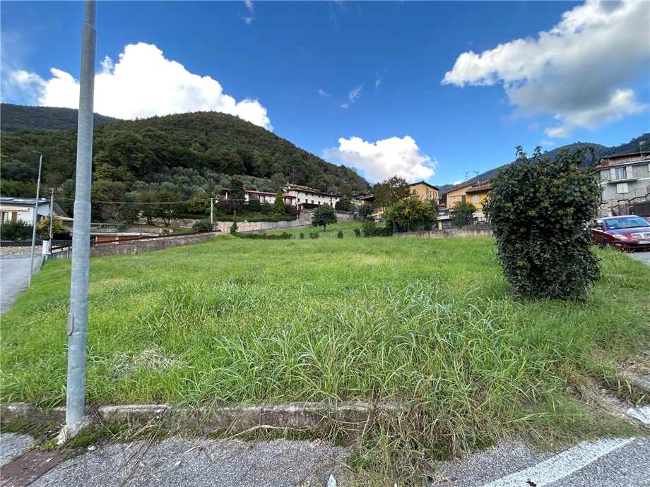 Vendita Terreno Viadanica  #VIA16 n.4