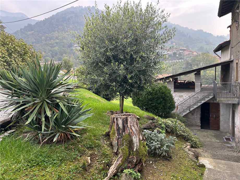 For sale Detached house Foresto Sparso  #FS36 n.8